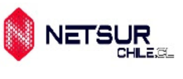 logo-netsur943adb149b8017e5.png